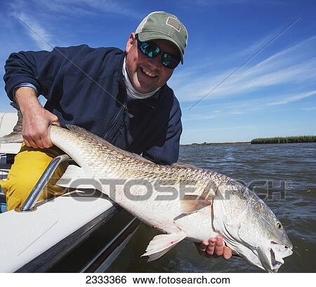 Man holding a redfish (sciaenops ocellatus); Venice louisiana united states of america View Large Photo Image Stock Photograph - Man holding a redfish (sciaenops ocellatus); Venice louisiana united states of america. Fotosearch