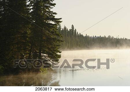 Stock Photo - Mist At Étang-À-La-Truite (Trout Pond), Gaspesie, Quebec. Fotosearch