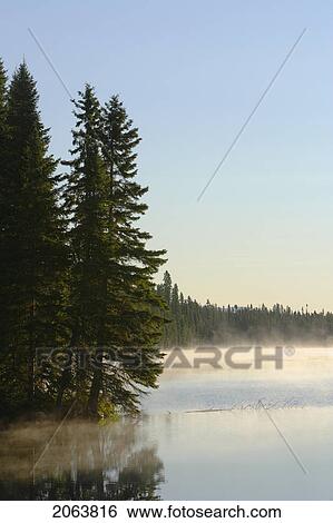 Mist At Étang-À-La-Truite (Trout Pond), Gaspesie, Quebec View Large Photo Image Stock Photograph - Mist At Étang-À-La-Truite (Trout Pond), Gaspesie, Quebec. Fotosearch