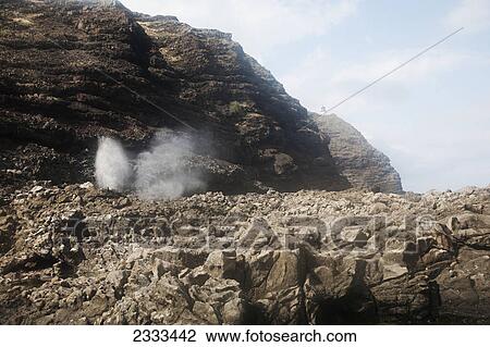 Mist from spraying water out of a blowhole; Honolulu hawaii united states of america View Large Photo Image Stock Image - Mist from spraying water out of a blowhole; Honolulu hawaii united states of america. Fotosearch