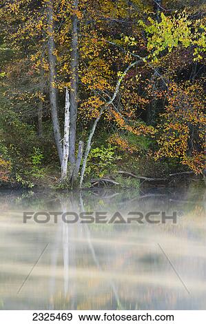 Mist over the water and a reflection of the autumn coloured trees in the water; Ohio united states of america View Large Photo Image Stock Photo - Mist over the water and a reflection of the autumn coloured trees in the water; Ohio united states of america. Fotosearch