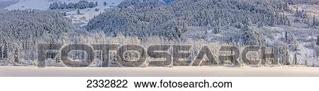 Stock Image - Morning sun highlights the forest along Summit Lake, Chugach National Forest, Winter, Southcentral Alaska, USA.. Fotosearch