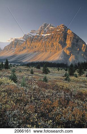 Mount Crowfoot At Bow Summit, Fall Colours, Banff National Park, Alberta, Canada View Large Photo Image Stock Image - Mount Crowfoot At Bow Summit, Fall Colours, Banff National Park, Alberta, Canada. Fotosearch