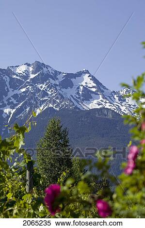 Mount Currie, Pemberton, Bc, Canada View Large Photo Image Stock Photography - Mount Currie, Pemberton, Bc, Canada. Fotosearch