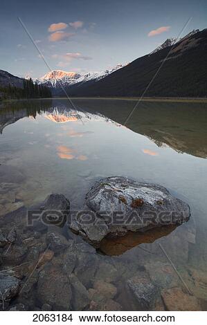 Picture - Mount Kitchener Reflected In Pond Near The Beauty Creek Hostel, Jasper National Park, Alberta, Canada. Fotosearch