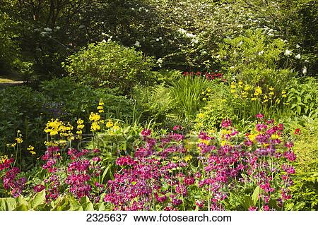 Stock Photo - Mount usher gardens; Ashford county wicklow ireland. Fotosearch