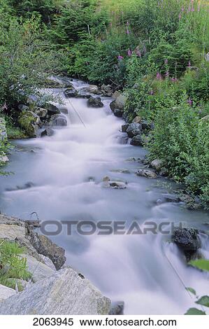 Stock Photography - Mountain Stream With Fireweed And Trees, Whistler, Bc Canada. Fotosearch