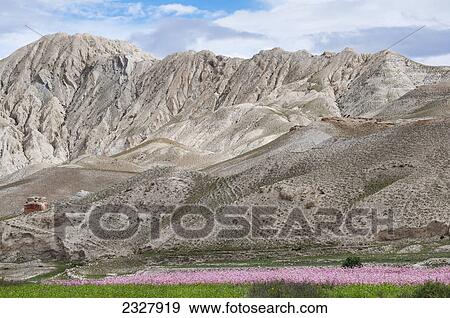 Stock Photo - Mountain view near lo manthang the capital of upper mustang region; Nepal. Fotosearch