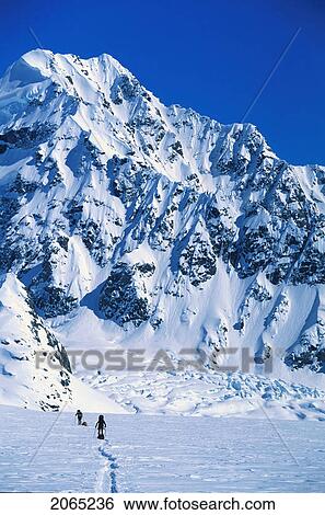 Mountaineering, St. Elias Mountains, Yukon, Canada View Large Photo Image Stock Photograph - Mountaineering, St. Elias Mountains, Yukon, Canada. Fotosearch