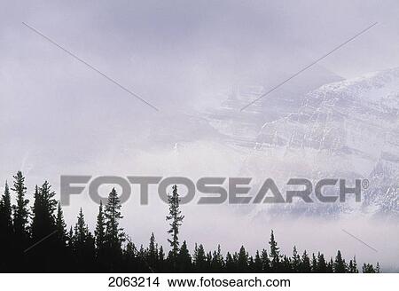 Picture - Mt. Chephren, Banff National Park, Alberta, Canada. Fotosearch