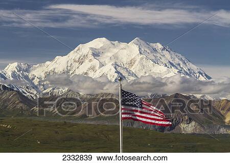 Mt. McKinley from Eielson Visitor Center with American flag in foreground, Denali National Park and Preserve, Interior Alaska, Summer View Large Photo Image Stock Photo - Mt. McKinley from Eielson Visitor Center with American flag in foreground, Denali National Park and Preserve, Interior Alaska, Summer. Fotosearch