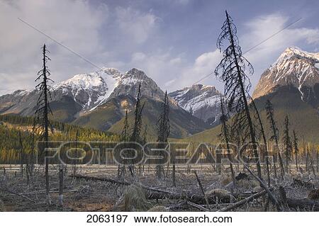 Stock Photo - Mt. Vaux And Chancellor Peak, Yoho National Park, Bc, Canada. Fotosearch