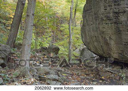 Stock Image - Niagara Glen Nature Reserve - Niagara Falls Ontario, Canada. Fotosearch