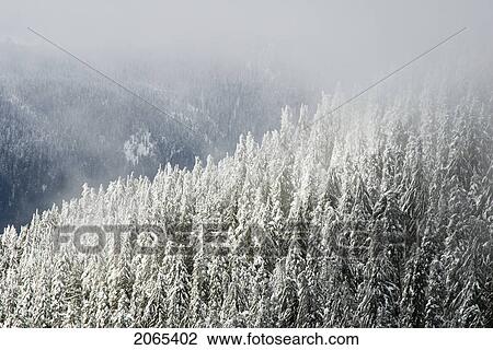 Stock Image - North Shore Mountains, Vancouver, Bc. Fotosearch