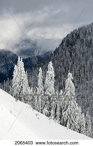 North Shore Mountains, Vancouver, Bc View Large Photo Image Stock Image - North Shore Mountains, Vancouver, Bc. Fotosearch