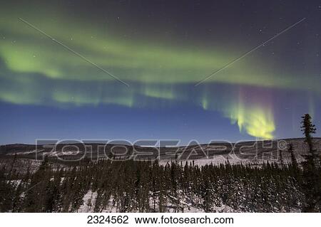 Northern lights dancing over the james dalton highway in winter north of fairbanks; Alaska united states of america View Large Photo Image Stock Image - Northern lights dancing over the james dalton highway in winter north of fairbanks; Alaska united states of america. Fotosearch