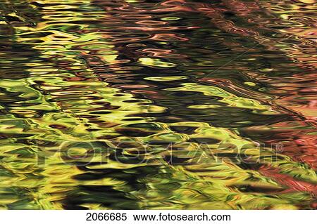 Oak And Maple Trees Reflections In Water. Autumn. View Large Photo Image Stock Photography - Oak And Maple Trees Reflections In Water. Autumn.. Fotosearch