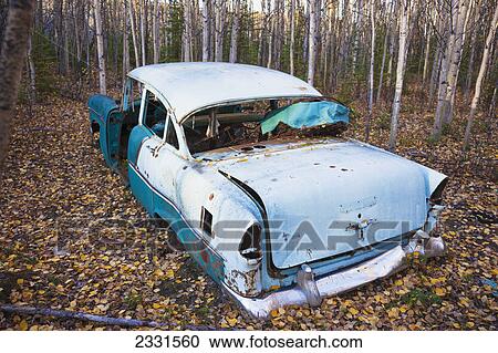Old derelict car sitting in a forest in autumn; Nenana alaska united states of america View Large Photo Image Stock Image - Old derelict car sitting in a forest in autumn; Nenana alaska united states of america. Fotosearch