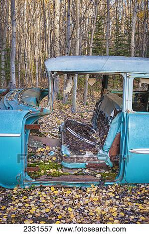 Old derelict car sitting in a forest in autumn; Nenana alaska united states of america View Large Photo Image Stock Photo - Old derelict car sitting in a forest in autumn; Nenana alaska united states of america. Fotosearch