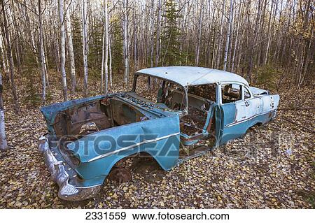 Stock Photo - Old derelict car sitting in a forest in autumn; Nenana alaska united states of america. Fotosearch