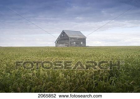 Old House, Manitoba, Canada View Large Photo Image Stock Image - Old House, Manitoba, Canada. Fotosearch