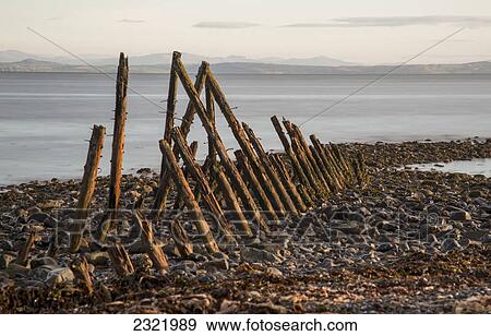Old Weathered Wooden Posts On A Rock Beach Along The Coast View Large Photo Image Stock Photo - Old Weathered Wooden Posts On A Rock Beach Along The Coast. Fotosearch