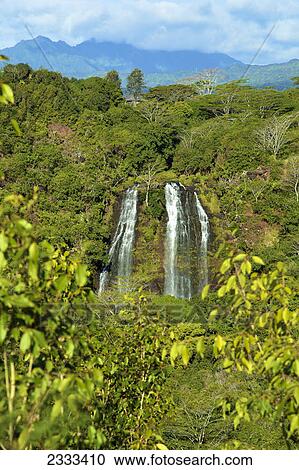 opaeka'a falls; Kauai hawaii united states of america View Large Photo Image Stock Image - opaeka'a falls; Kauai hawaii united states of america. Fotosearch