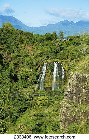 Stock Photograph - opaeka'a falls; Kauai hawaii united states of america. Fotosearch