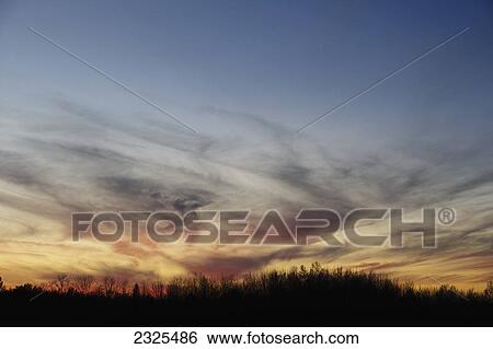 Stock Photograph - Orange sky on the horizon over a silhouetted forest at sunset; Ohio united states of america. Fotosearch