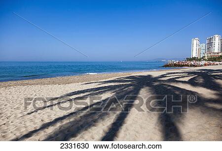 Stock Image - Palm tree shadows on banderas beach; Puerto vallarta mexico. Fotosearch