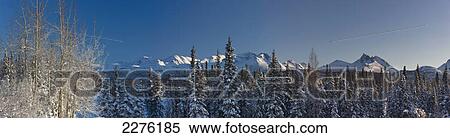 Stock Photography - Panoramic landscape of the chugach mountains and spruce forest in winter; Anchorage alaska united states of america. Fotosearch
