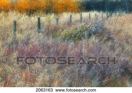 Pasture And Fenceline Near Calgary, Alberta View Large Photo Image Stock Image - Pasture And Fenceline Near Calgary, Alberta. Fotosearch