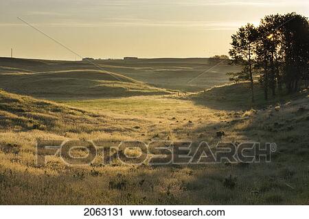 Stock Image - Pasture Land, Alberta, Canada. Fotosearch