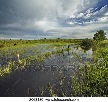 Pastureland After Rain Storm Near Cochrane Alberta Canada View Large Photo Image Stock Image - Pastureland After Rain Storm Near Cochrane Alberta Canada. Fotosearch