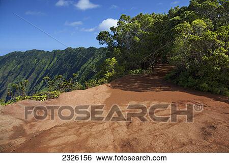 Stock Photograph - Pihea trail; Kauai hawaii united states of america. Fotosearch