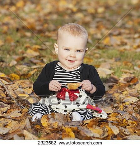 Portrait of a baby girl sitting in the fallen leaves in a park in autumn; Edmonton alberta canada View Large Photo Image Stock Image - Portrait of a baby girl sitting in the fallen leaves in a park in autumn; Edmonton alberta canada. Fotosearch
