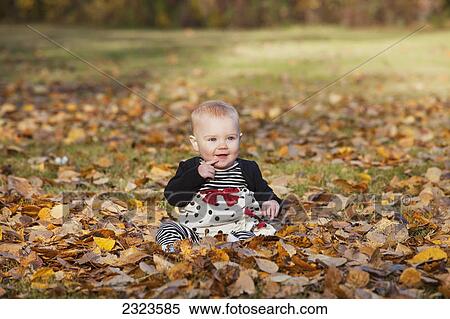 Portrait of a baby girl sitting in the fallen leaves in a park in autumn; Edmonton alberta canada View Large Photo Image Stock Photography - Portrait of a baby girl sitting in the fallen leaves in a park in autumn; Edmonton alberta canada. Fotosearch