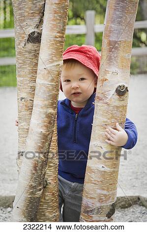Portrait of a young boy wearing a red hat and standing behind a group of birch trees; Anchorage alaska united states of america View Large Photo Image Picture - Portrait of a young boy wearing a red hat and standing behind a group of birch trees; Anchorage alaska united states of america. Fotosearch