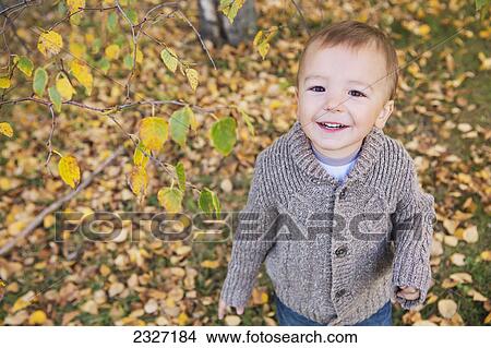 Picture - Portrait of a young boy with fallen autumn leaves on the ground; St. albert alberta canada. Fotosearch