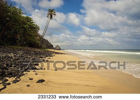 Praia do boldro; Fernando de noronha pernambuco brazil View Large Photo Image Stock Image - Praia do boldro; Fernando de noronha pernambuco brazil. Fotosearch