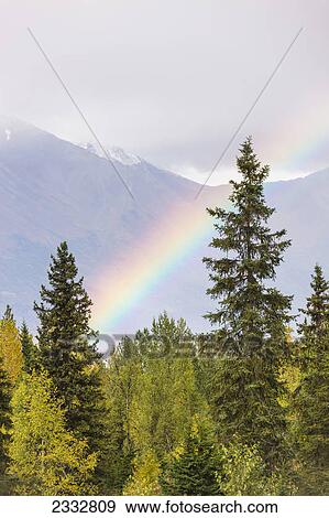 Stock Photo - Rainbow over Moose Pass, fall, Kenai Mountains, Chugach National Forest, Kenai Penninsula, Southcentral Alaska, USA.. Fotosearch