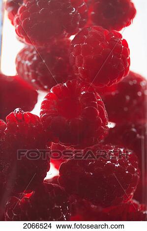Raspberries Floating In Water View Large Photo Image Picture - Raspberries Floating In Water. Fotosearch