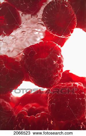 Stock Image - Raspberries Floating In Water. Fotosearch