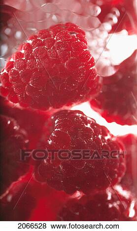 Stock Photo - Raspberries Floating In Water. Fotosearch