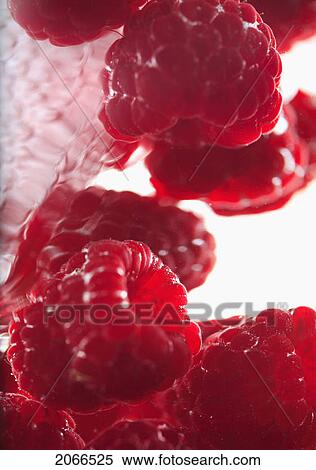 Stock Photography - Raspberries Floating In Water. Fotosearch