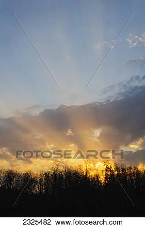Rays of sunlight shining through the clouds above a silhouetted forest; Brown county ohio united states of america View Large Photo Image Stock Image - Rays of sunlight shining through the clouds above a silhouetted forest; Brown county ohio united states of america. Fotosearch