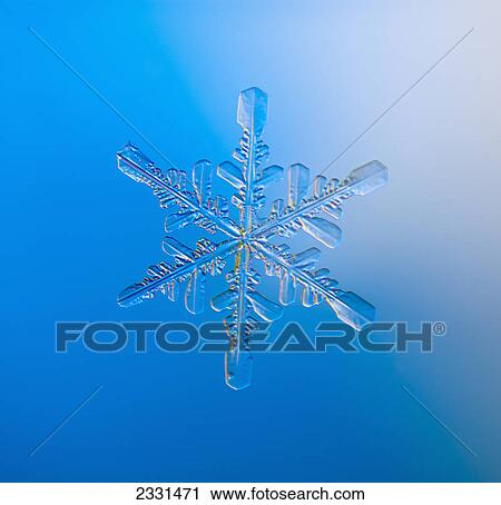 Real snowflake showing the classic 6-sided star shape on a blue background; Alaska united states of america View Large Photo Image Stock Image - Real snowflake showing the classic 6-sided star shape on a blue background; Alaska united states of america. Fotosearch
