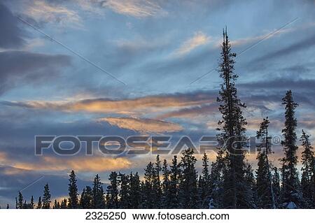 Red clouds at sunset over mcintyre creek; Whitehorse yukon canada View Large Photo Image Stock Image - Red clouds at sunset over mcintyre creek; Whitehorse yukon canada. Fotosearch