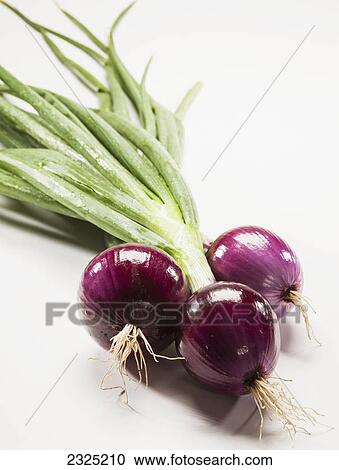 Stock Image - Red onions on a white background. Fotosearch