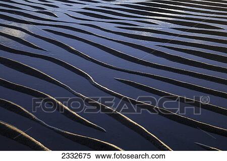 Stock Photography - Ripples are revealed as the evening tide recedes eagle beach state recreation area near juneau; Alaska united states of america. Fotosearch
